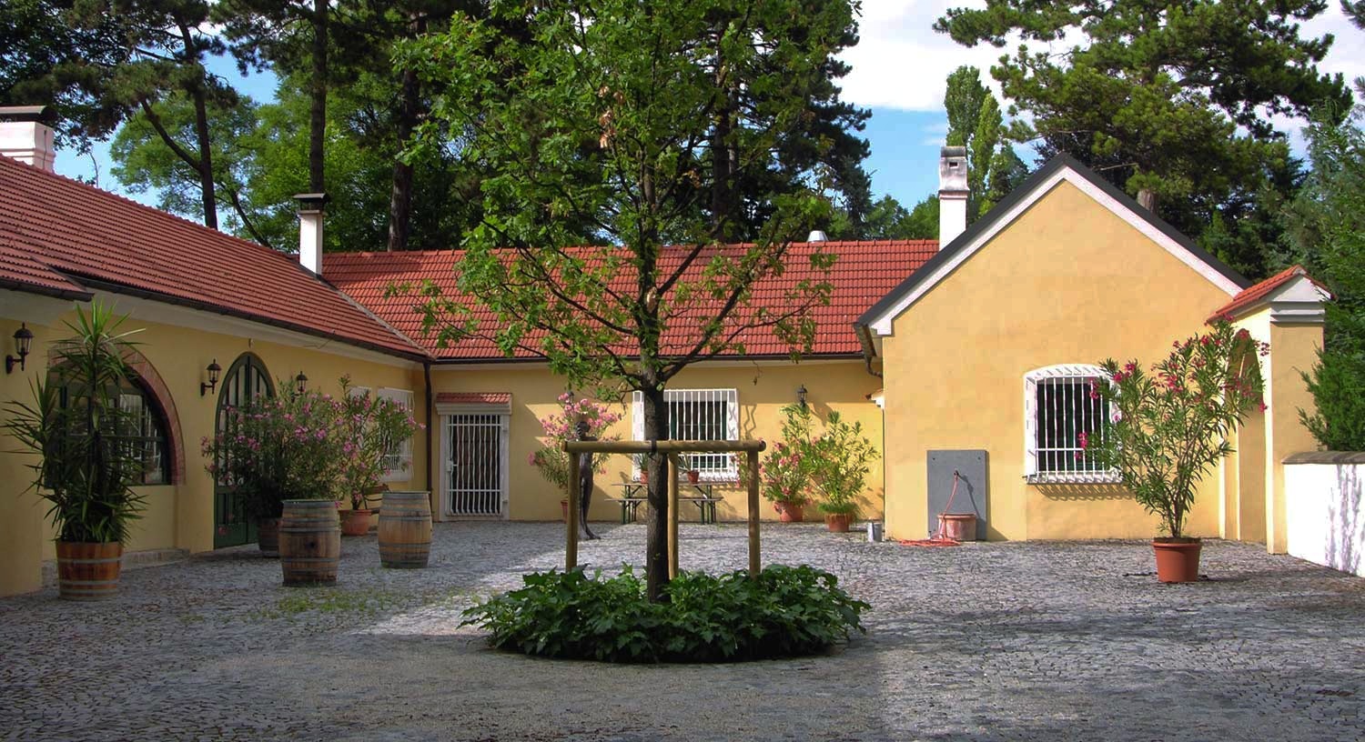 Infeld Haus der Kultur Halbturn