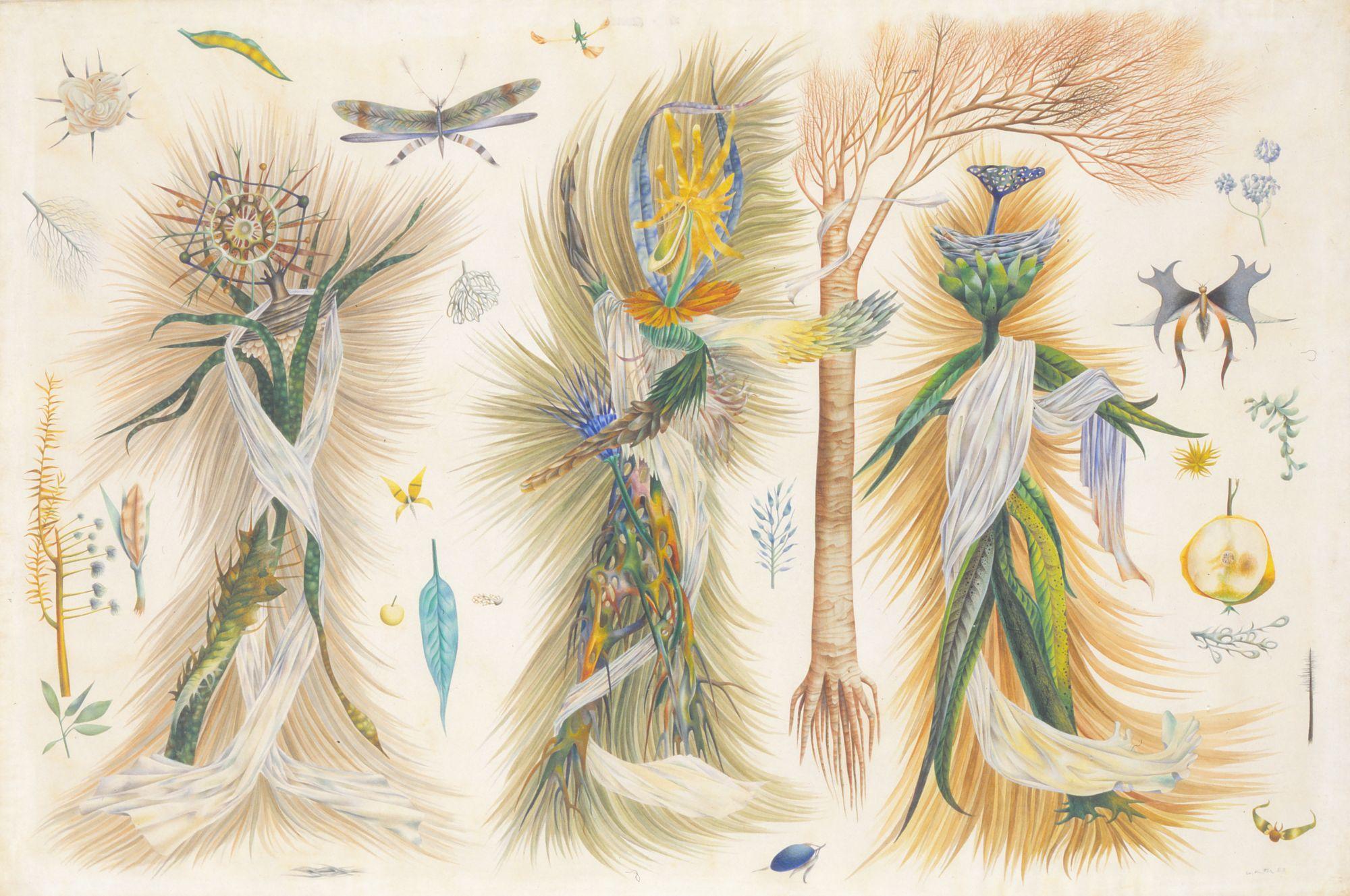 Wolfgang Hutter, Plant Ballet, 1953, Watercolour